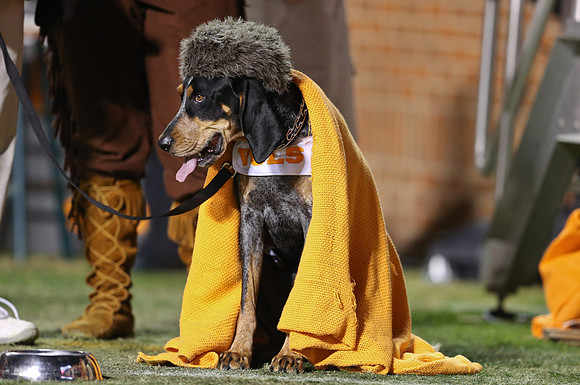 Sports Photos5962